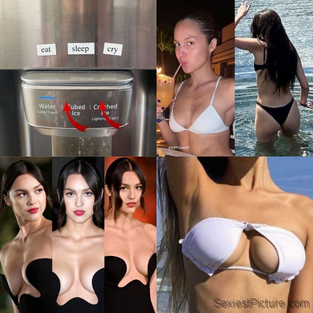 Olivia Rodrigo Nude and Sexy Photo Collection