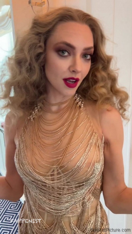 Amanda Seyfried Big Tits Nipples