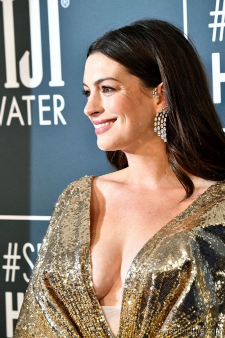 Anne Hathaway Braless Boobs