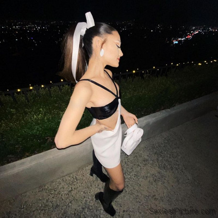 Ariana Grande Tits and Legs