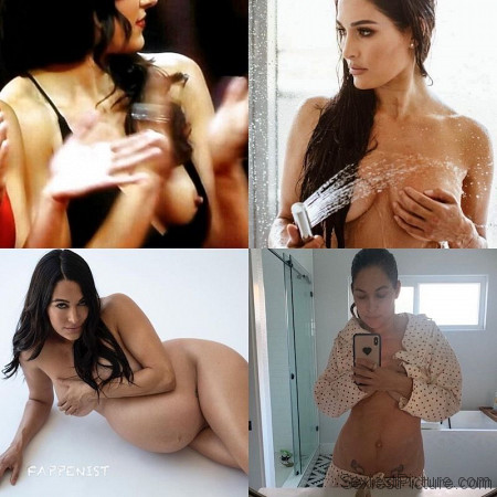 Brie Bella Nude and Sexy Photo Collection