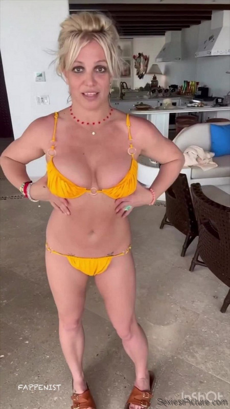 Britney Spears Big Tits and Hot Ass Bikini
