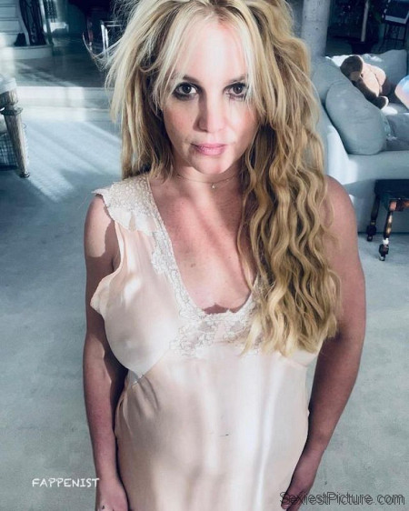 Britney Spears Nipple
