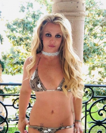 Britney Spears Sexy Bikini Pelvis Tattoos