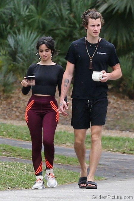 Camila Cabello and Shawn Mendes Out Walking
