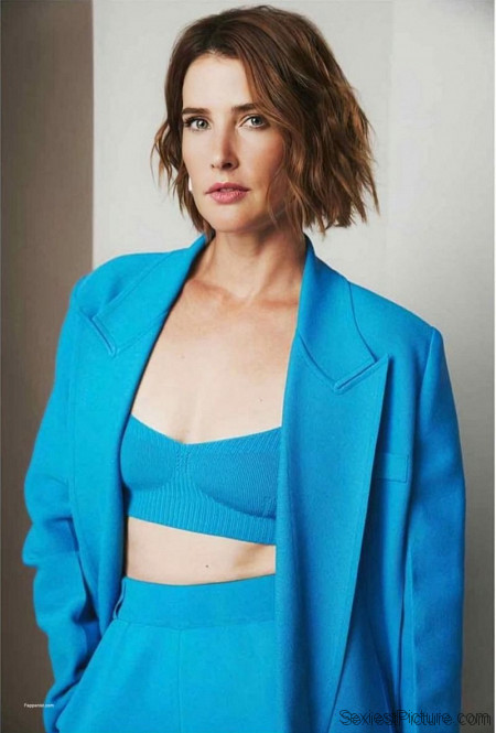 Cobie Smulders Tits