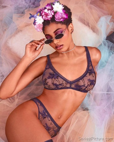 Danielle Herrington Sexy See Through Lingerie