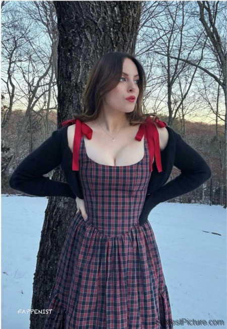 Elizabeth Gillies Tits