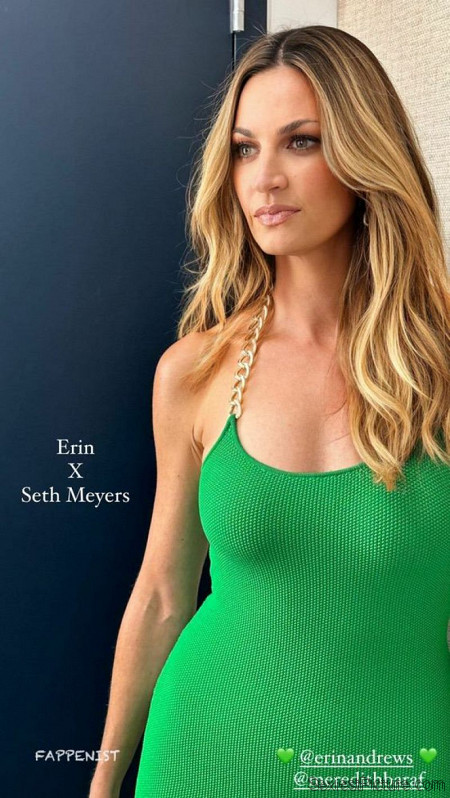 Erin Andrews Big Tits