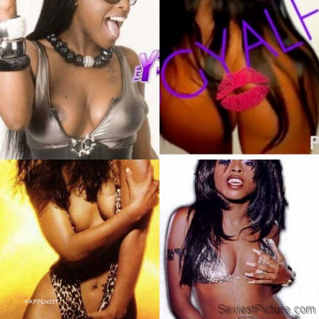 Foxy Brown Nude and Sexy Photo Collection