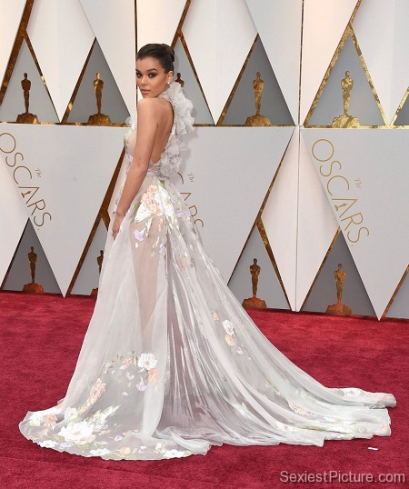 Hailee Steinfeld gorgeous see through dress Oscars red carpet 2017