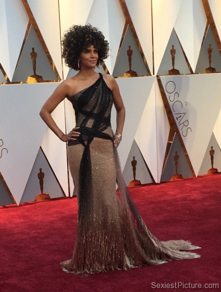 Halle Berry gorgeous dress Oscars red carpet 2017