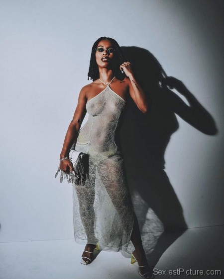IAMDDB Braless Boobs in a See Through Dress