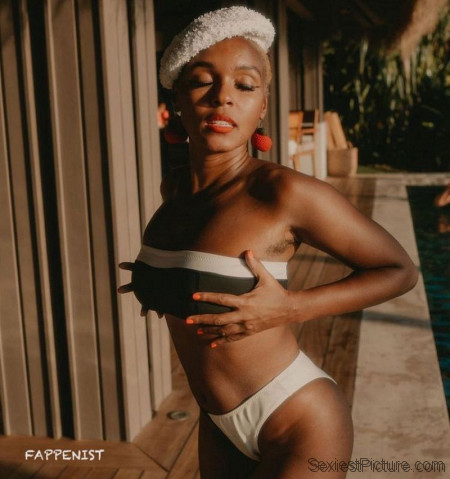 Janelle Monae Big Tits Bikini