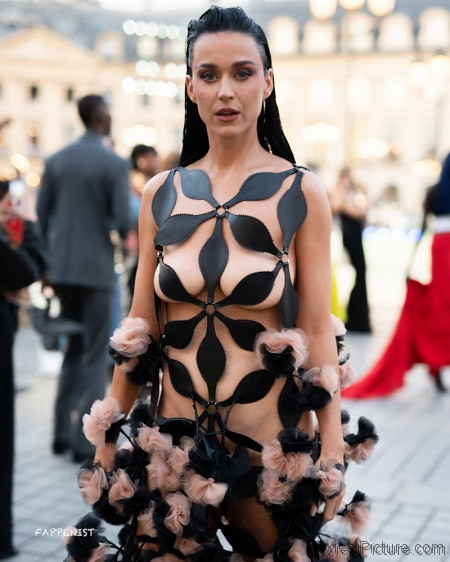 Katy Perry Naked Barely Covered Dress