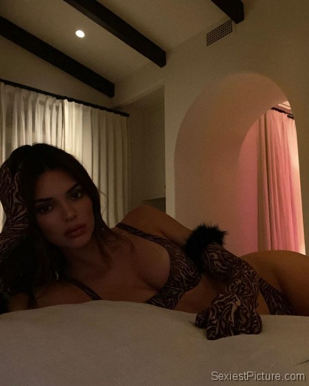 Kendall Jenner Sexy Lingerie