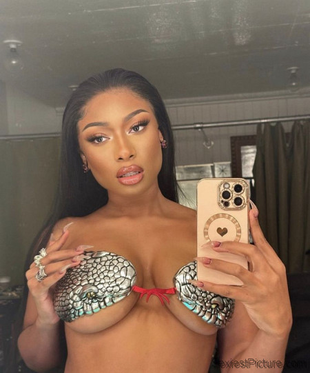 Megan Thee Stallion Big Tits 2024