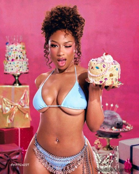 Megan Thee Stallion Big Tits Birthday