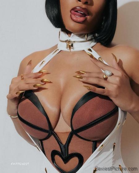 Megan Thee Stallion Huge Boobs