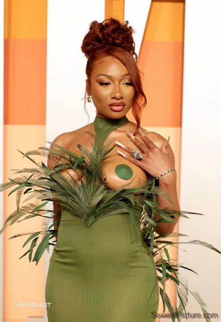 Megan Thee Stallion Nude Big Tits Pasties