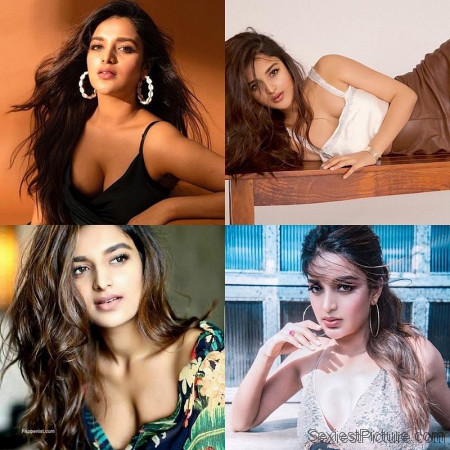 Nidhhi Agerwal Sexy Tits and Ass Photo Collection