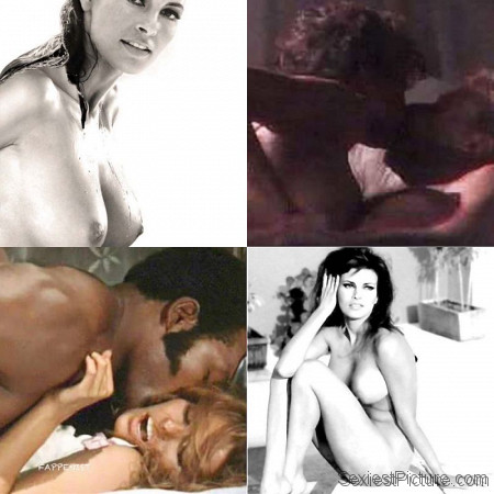Raquel Welch Nude and Sexy Photo Collection