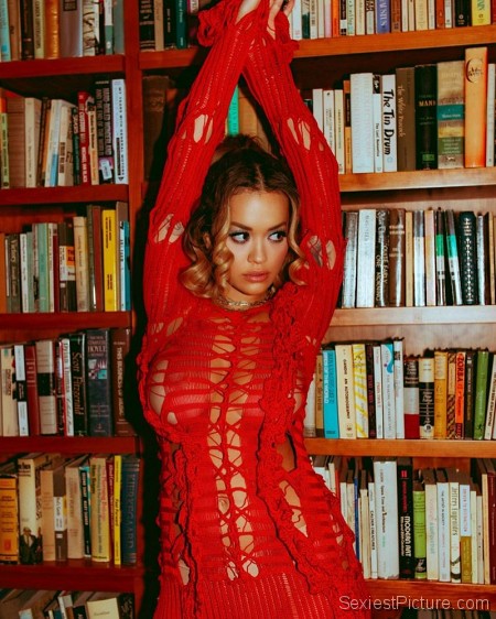 Rita Ora Braless Boobs in a See Through Dress