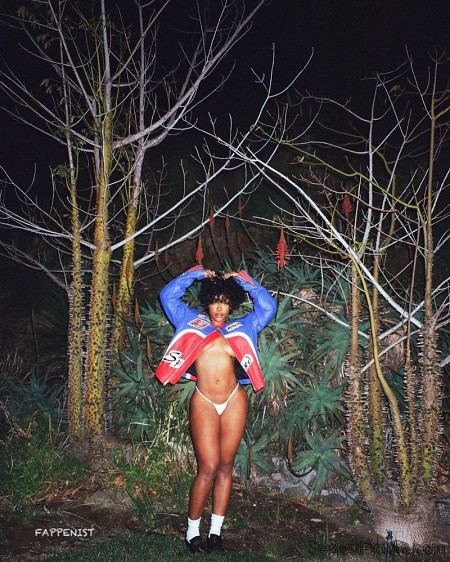 SZA Big Tits