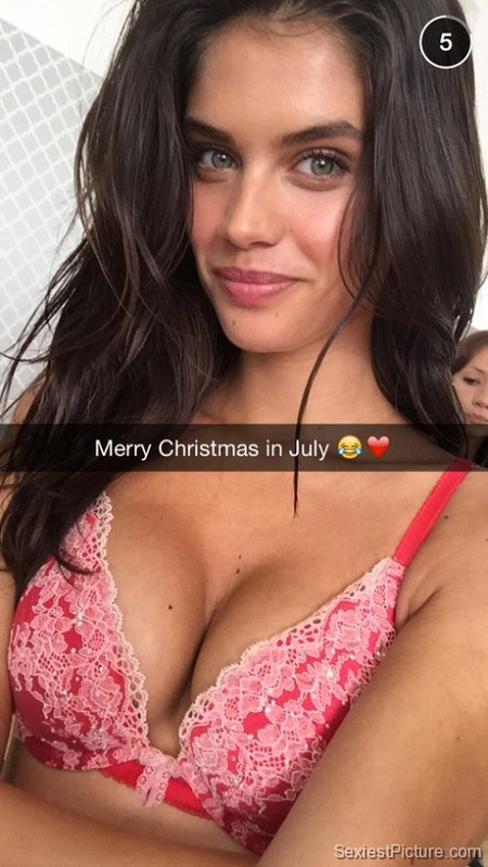 Sara Sampaio sexy lingerie bra boobs snapchat selfie leaked