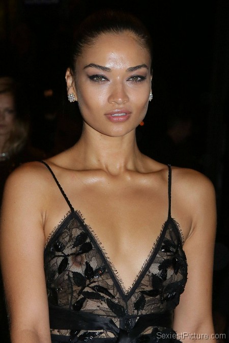 Shanina Shaik Boobs