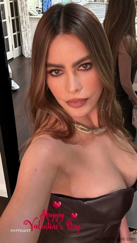Sofia Vergara Big Tits