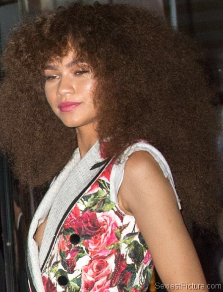 Zendaya nip slip